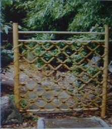 Shiorido